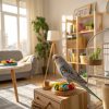 8 Essential Tips for Socializing Your Pet Bird Happily