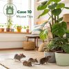 10 Essential Tips for Loving Mouse Owners: Care Guide